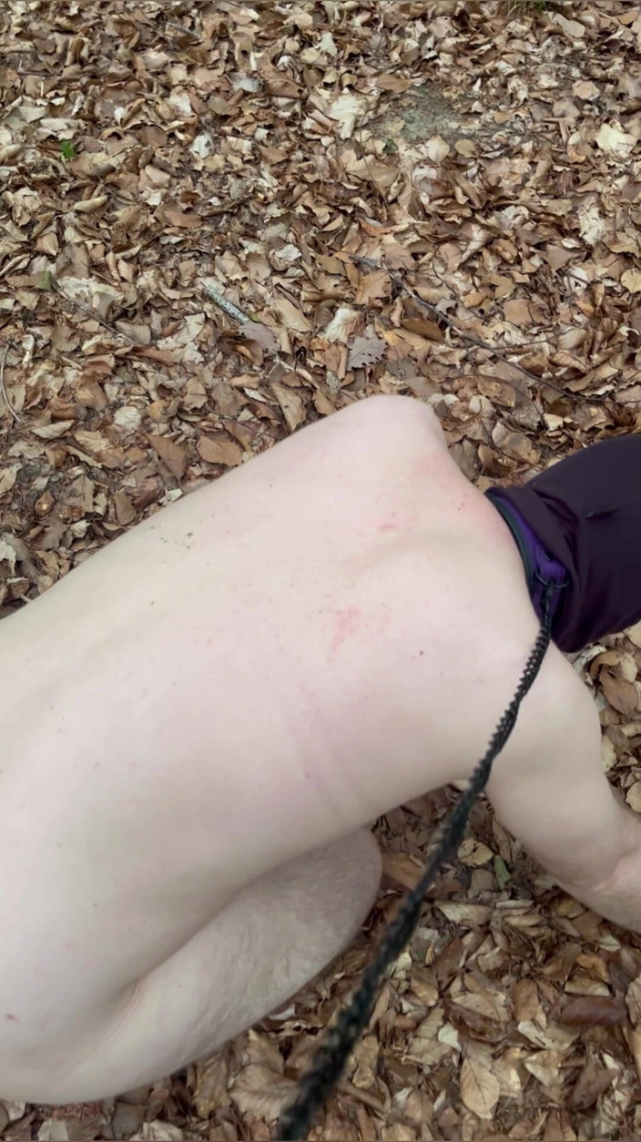 Maitresse Clara: Приниження в лісі...