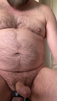 Papi oso gordo peludo compilación 24 de noviembre
