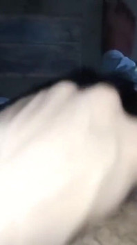 Sexy Video