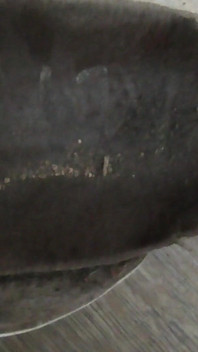Las zapatillas funcionaban con mis pies