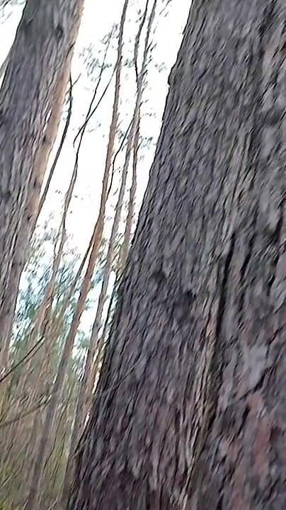 Lesbian-illusion: Une femme fait pipi et se masturbe dans la forêt