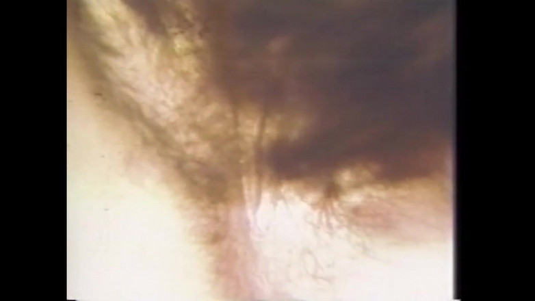 Vintage Megastore Full hd: bir adam