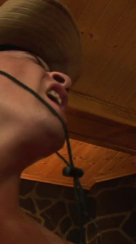 Sexy Blonde Whore Satisfies Her Anal Craving in Front of the Fireplace with a Hard Cock