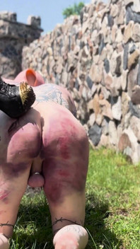 Umilire cu un porc murdar în noroi
