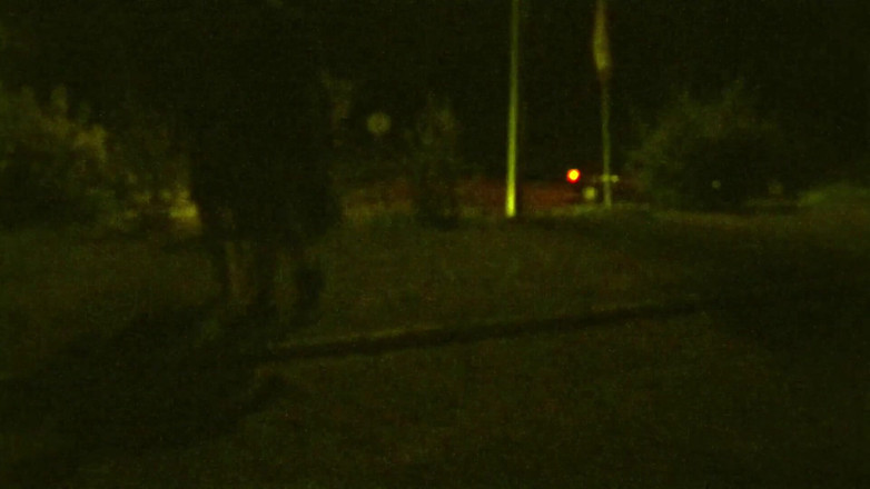 Toilet Mommy: 为了让婊子听话，她需要被狠狠地训练。