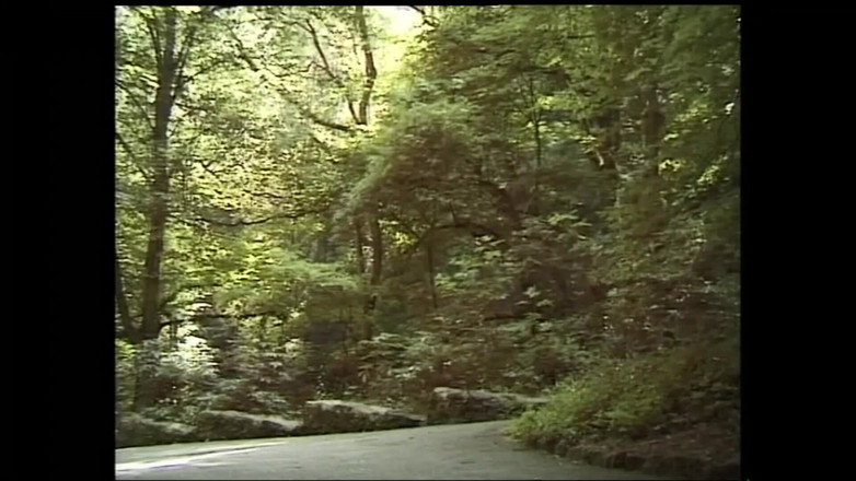 MUSCHI TV - our best full movie: 2人のエッチな売春婦は、しゃぶるために大きくて硬いチンポを探していました