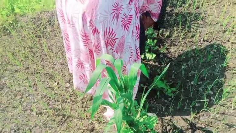 Bk Vlogs: Desi-Bhabhi werd geneukt in de velden