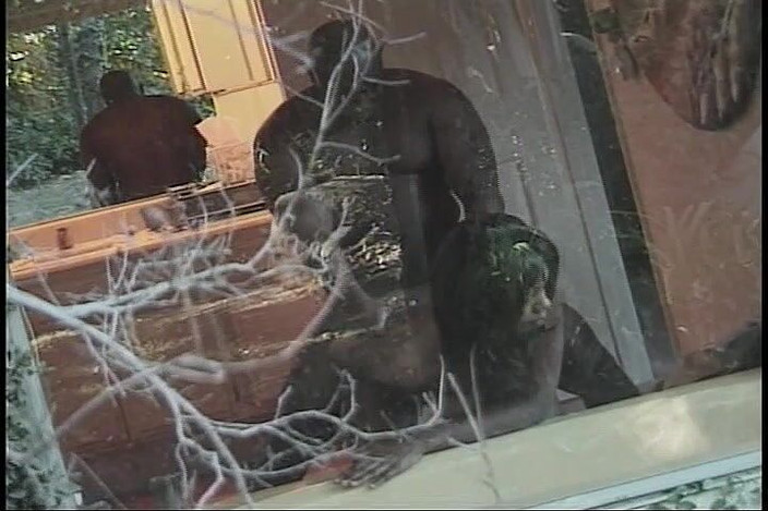 CBD Media Interracial: Темношкіра тінка з великими цицьками жорстко трахається в душі