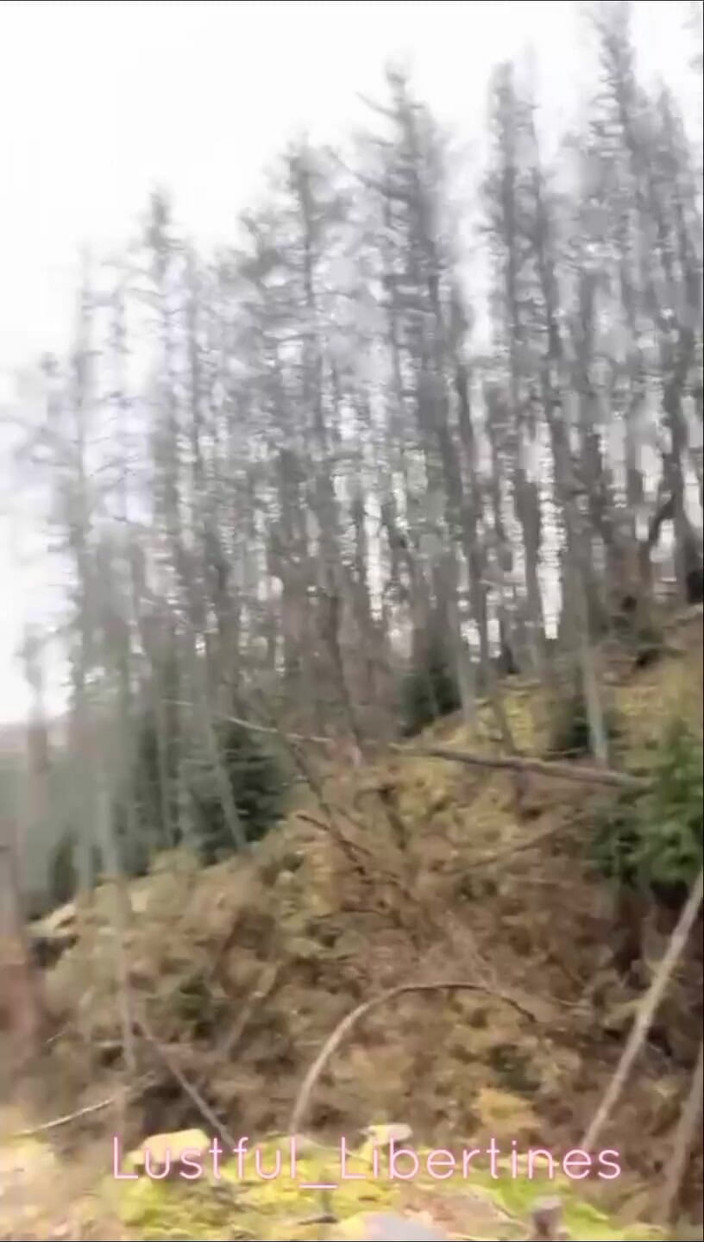 Lustful Libertines: Jen trochu lesa šukání a sání