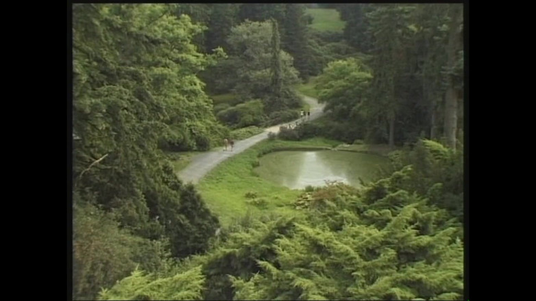 MMV films - The Original: Piękne, napalone, zdzirowate cipki lubią uprawiać seks analny, a następnie...