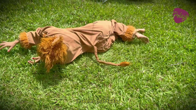 Pelaje mix: Natgio Mix: Il Gioco Sessuale tra Leone Selvaggio e Leopardo