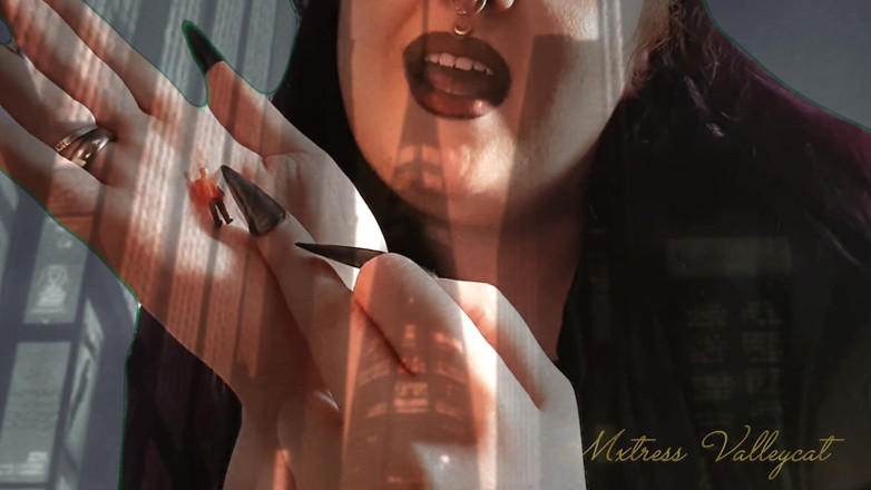 Mxtress Valleycat: Die holografische Riesin