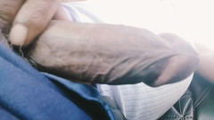 A_k_93152: Seaffron Hříchy