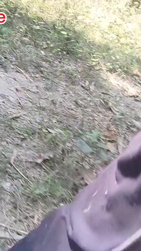 Дезі бангалі хлопець у лісі fuk tree