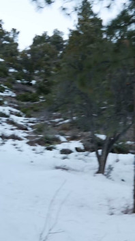 The Legend of the Snowbunny