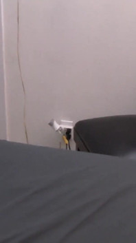 この学生は提案に非常にオープンです