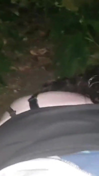 Awek montel muda muda Nata4sex mengongkek pepek saya gaya doggy di luar