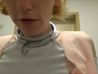 Slave Sophie: 金发女郎在厕所里做爱