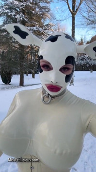 Sněhová kráva