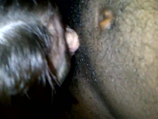 Whitebbw4BBC: Avalage de ce sperme délicieux