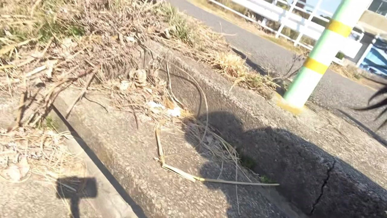 megu2002: Plimbarea de expunere la masa de la prânz nr. 123 partea 2