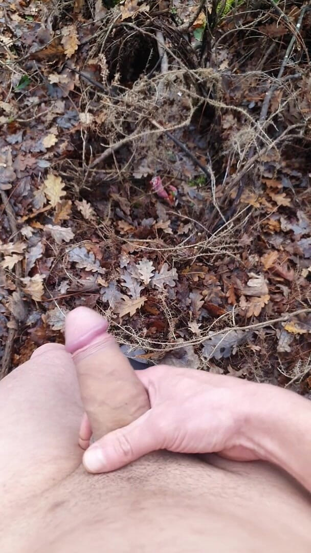 Timmyboy: Timmyboy Jag gick en körning i skogen och jag blev...