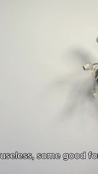 Adorazione della gigantessa mini inutile