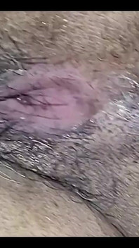 Meine haarige muschi ist hungrig