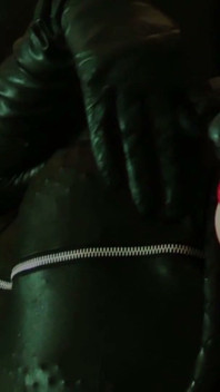 Fantasmes de Catwoman Supervillain