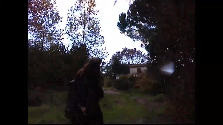 The Swingers & CO.: Die Ruinen Von Lesvic (film)