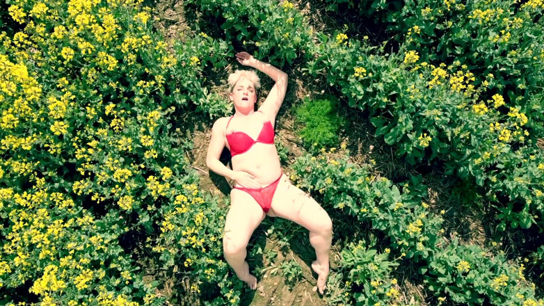 Kylie Britain Adventures: Vedere cu ochiul păsărilor