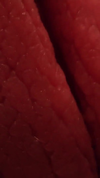 Deixe minhas bolas de travesti vazias no seu rosto