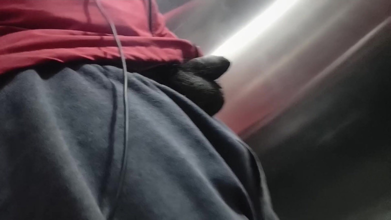 CarvingShovel: Mostrando la polla en ascensor público