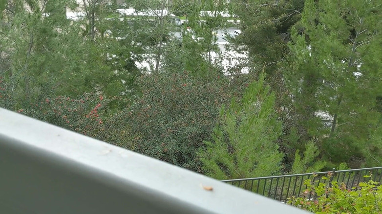 Rachael Belle: Little Perv