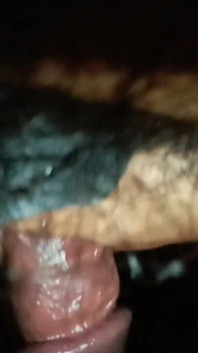 My Horny Dick