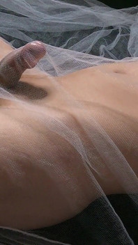 I Bought Some Transparent Sheets so You Can Enjoy My Wet Dream