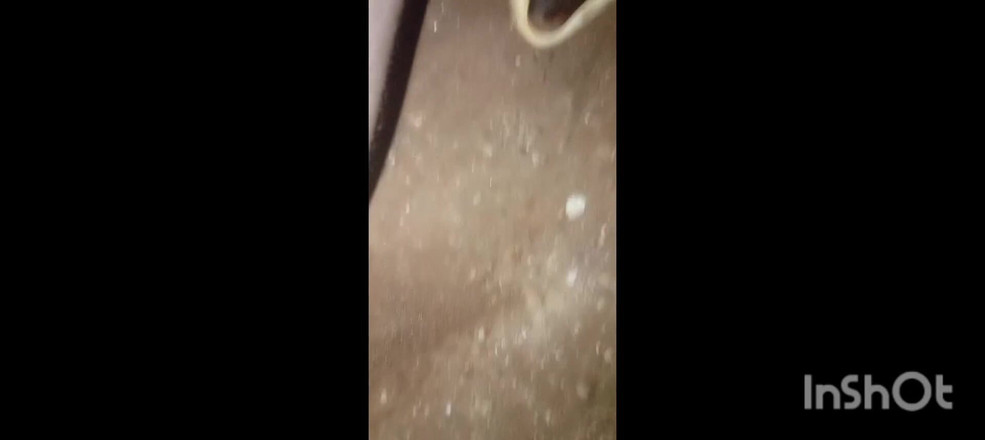 Hongi: Hur många tum är detta enorma monster kuk