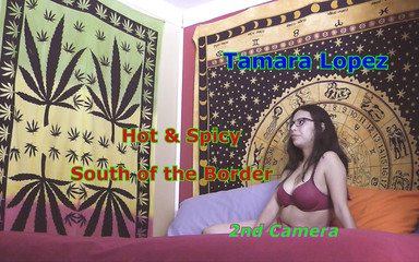 Average Joe Says Lets Fuck: Tamara Lopez - boarder'ın ateşli ve baharatlı güneyi 2. kamera