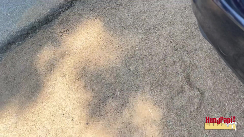 Hung Papi: Genç twink tek başına mastürbasyon yapıyor