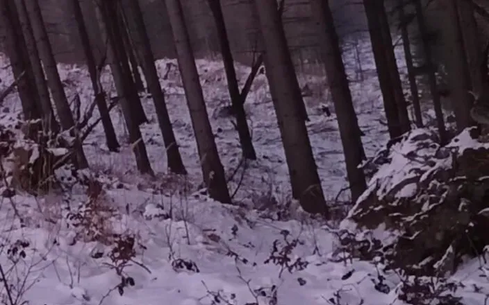 kickerscooter: Nude Nature in Winter