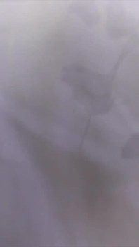 Big Titty Latina Gets Fucked Silly