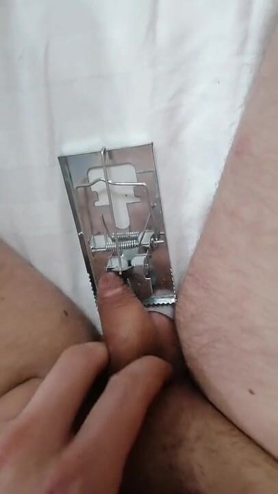Adashah: Pênis pequeno e armadilha de rato. Cbt BDSM solo