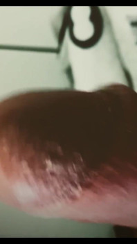 Perfect Smegma Cock