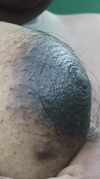 Смокчи Це, Краля