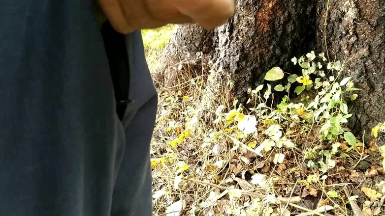 Desimast7: Indický chlapec si hraje s ptákem, chcaní