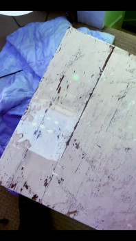 Check Out the Mess I Had to Clean up After My Last Video