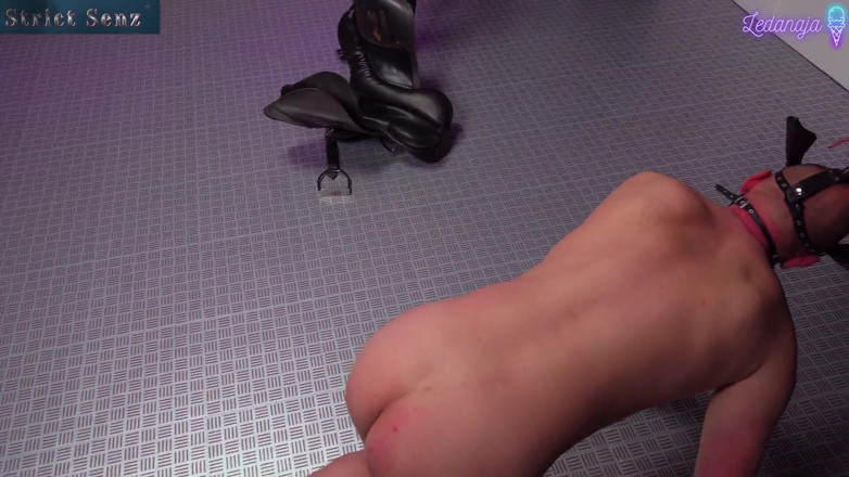 Strict Senz: Mistress Ledanaja Gagged Saddled and Ridden Pet Play Training Part 1
