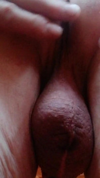 Vid_20241117_091333