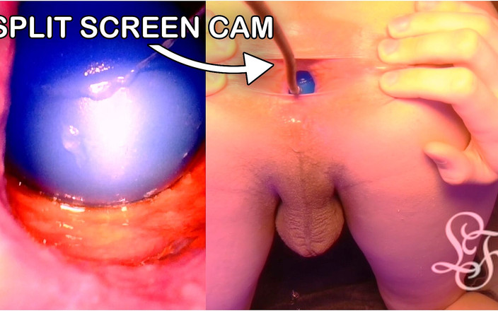 Lina Free: Разделенный экран, взгляд внутрь зияющей задницы Lina с яйцами