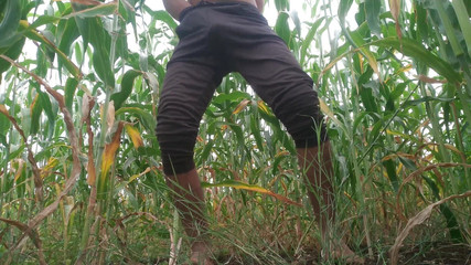 PWeggto wav: Desi Indian Farmer Boy Masturbation